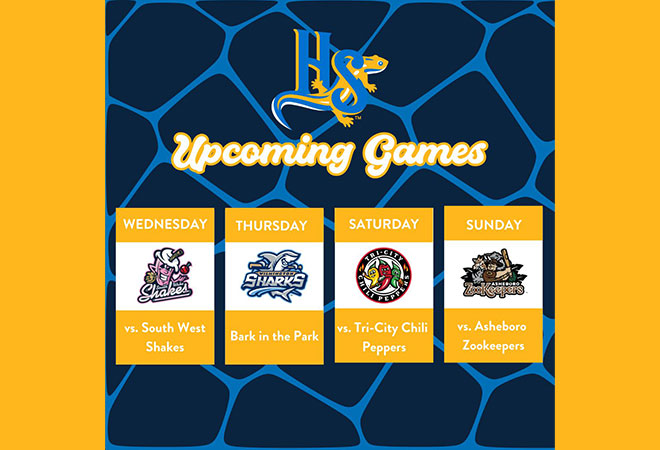 Holly Springs Salamanders games