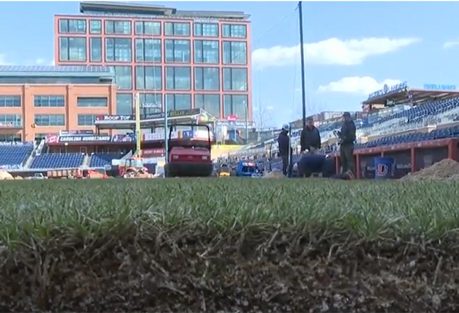 Durham Bulls new sod installation